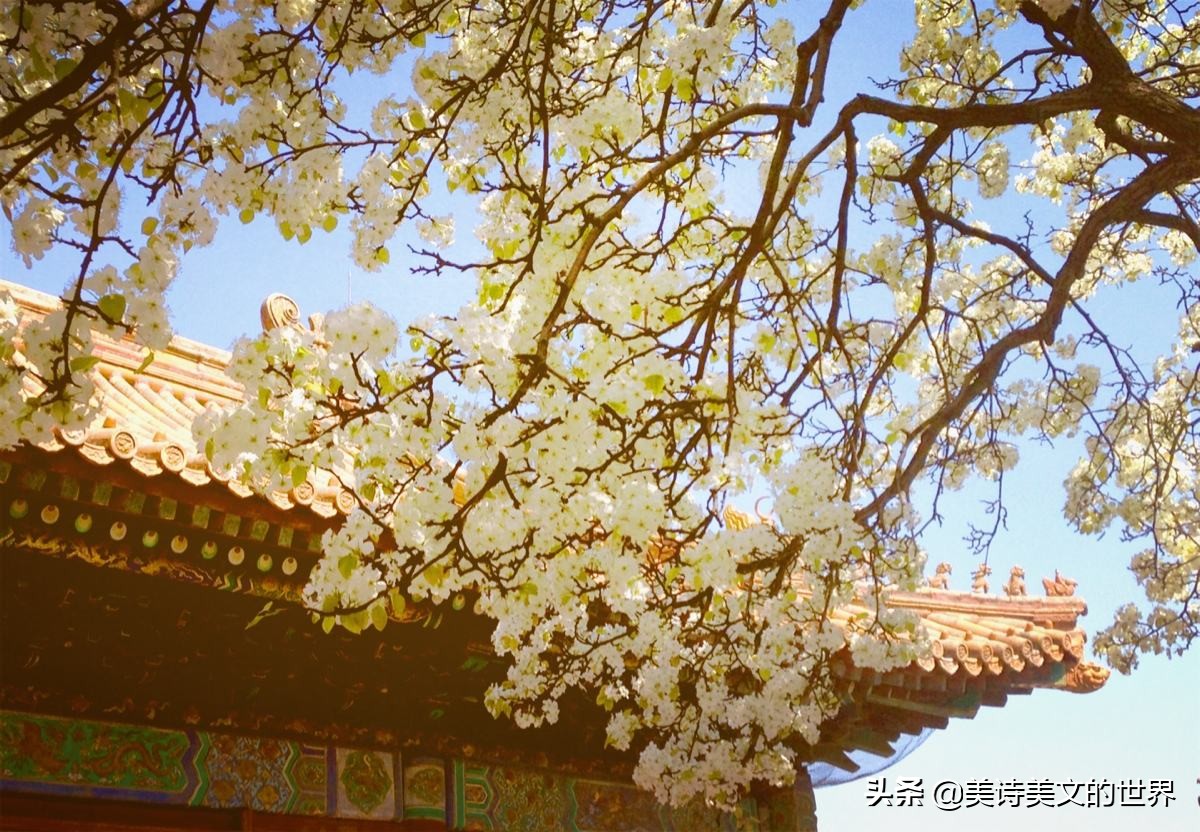 曾被严重忽视的宋词,原创一首被严重低估的宋词