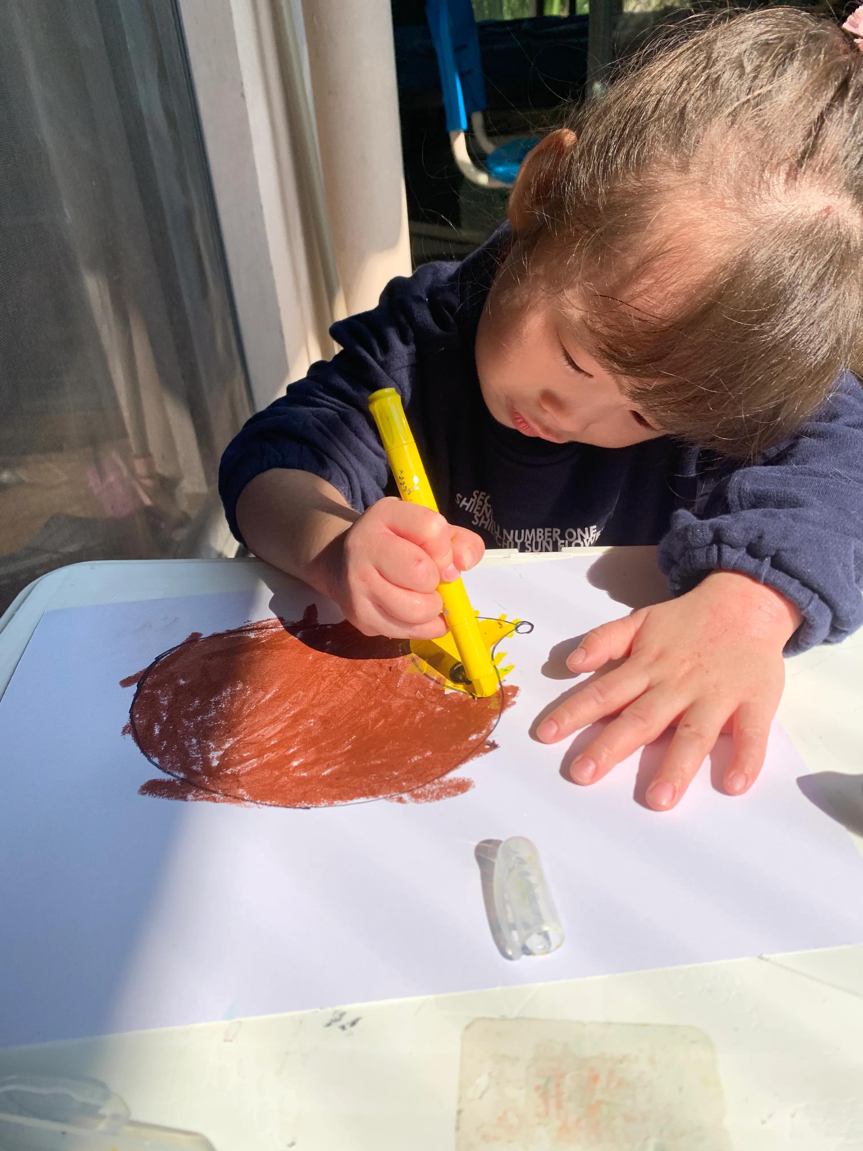 用树叶和花朵做一幅美丽的画,用银杏树叶做一幅简单漂亮的画