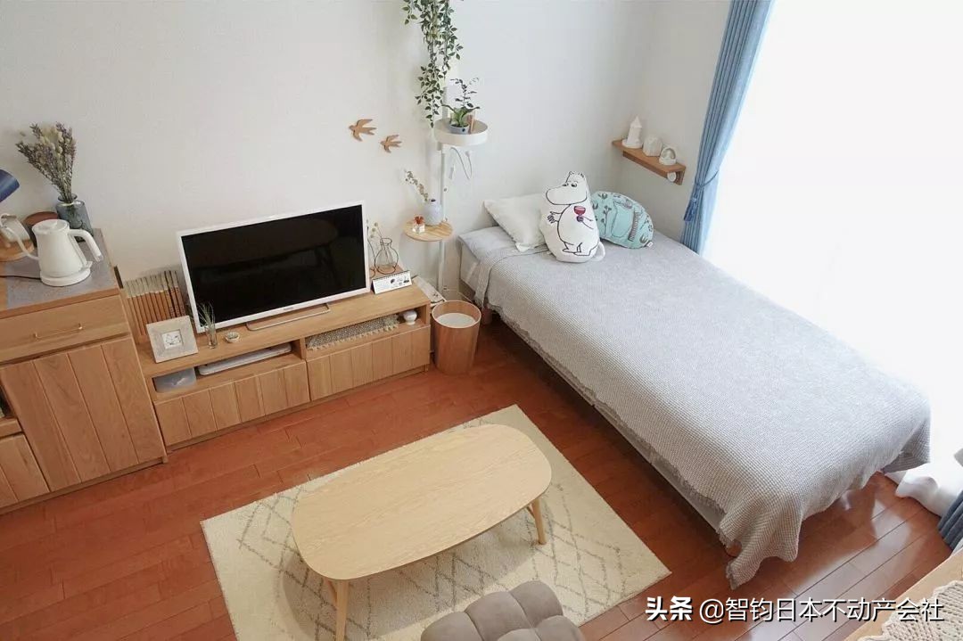 东京最好公寓房,东京房产公寓哪种最好