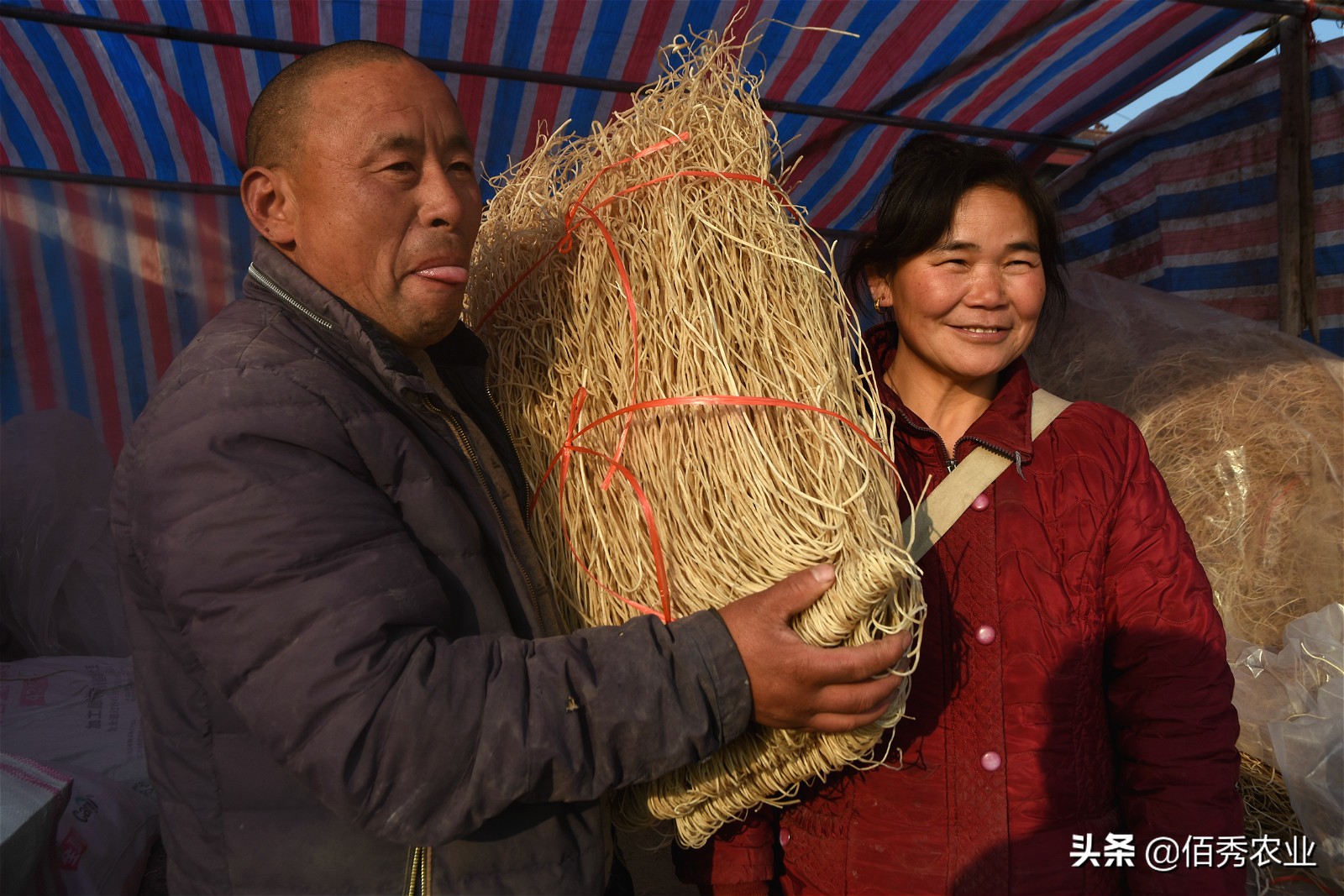 村民用红薯做万斤粉条寻销路,纯手工红薯粉条铺就乡村致富路