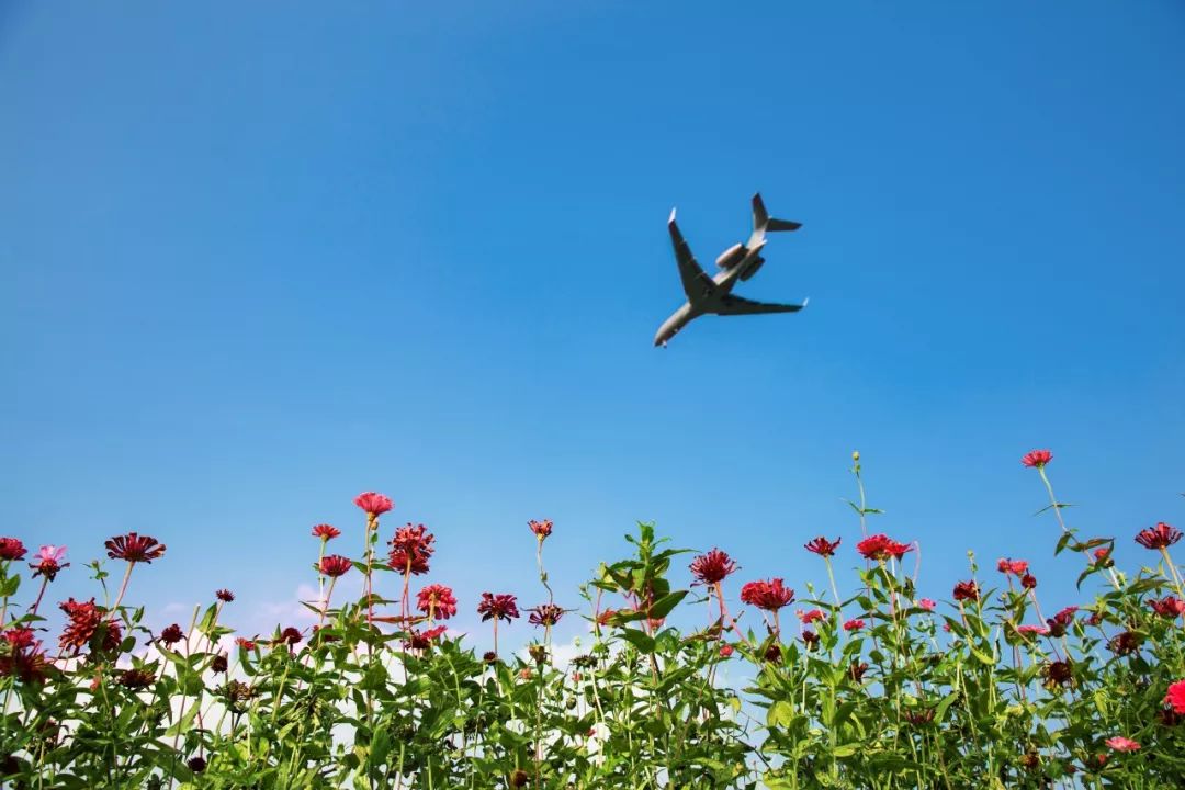 成都环城生态公园攻略,双流值得去的公园