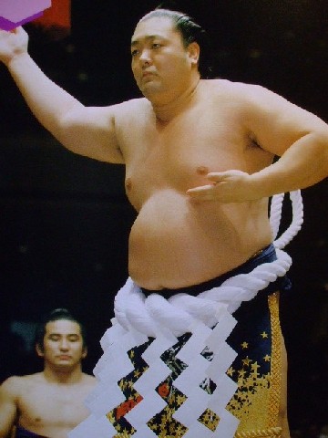 日本相扑文化全集,日本大相扑视频完整版