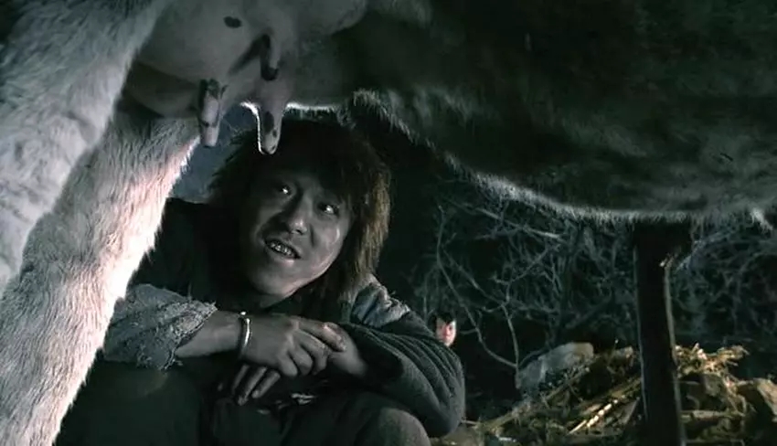 《斗牛》：苦难终将过去，只要熬下去，终会活下去