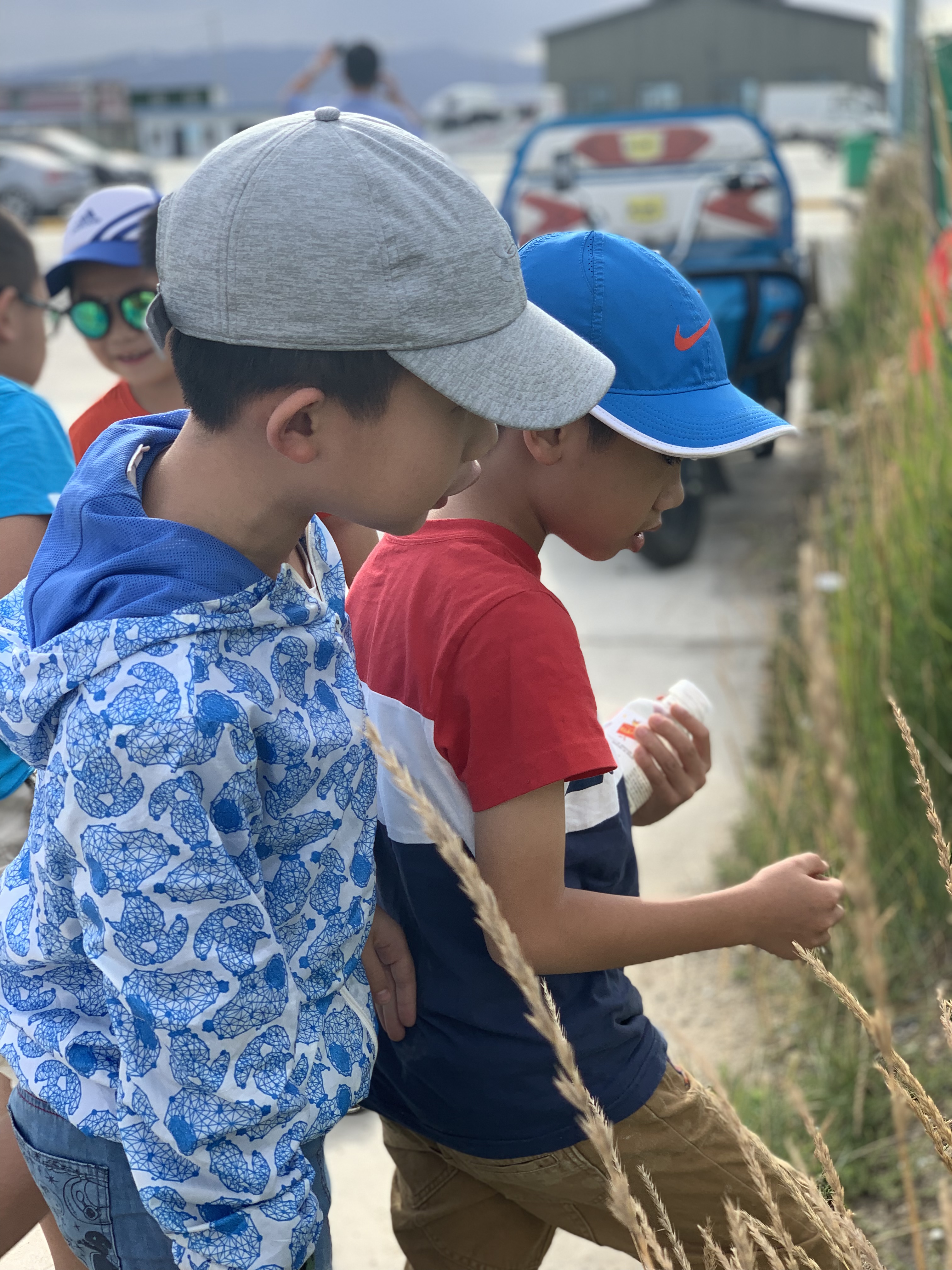 研学是怎么研学的,研研是怎么火起来的