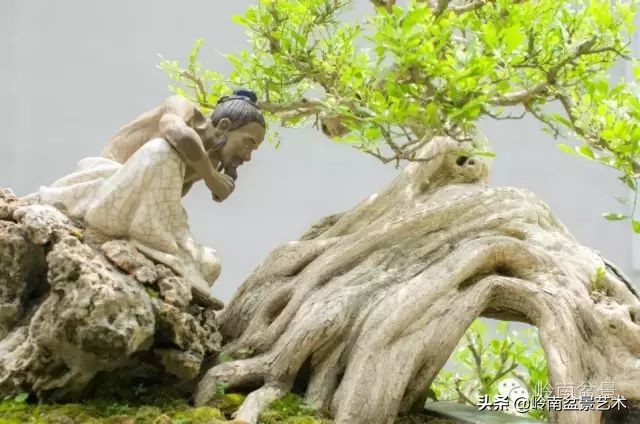 骞哥涔呬箙鐢滅敎铚滆湝,骞哥涔呬箙