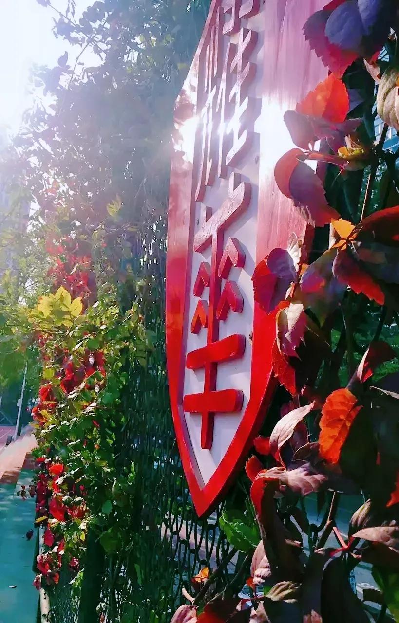 天津市耀华中学冯耀忠,天津市耀华中学招聘