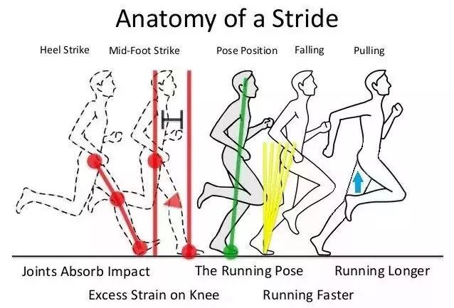 跑步能降低患癌风险吗,跑步死亡率