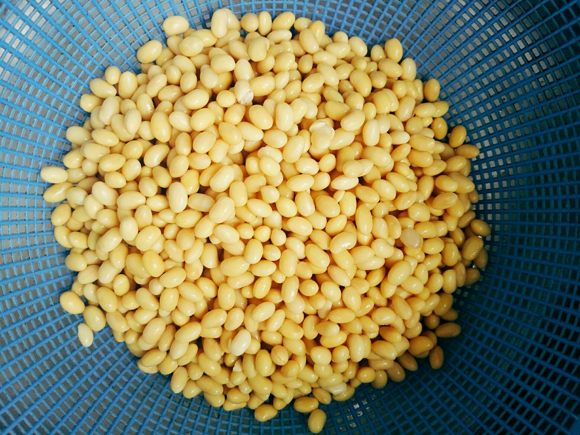 自制豆腐用什么工具好用,我做的豆腐很成功说说