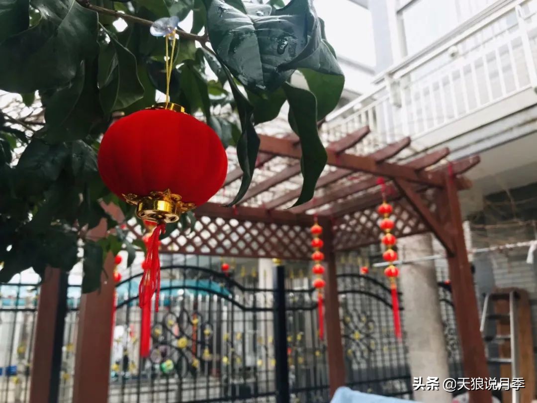 不用再羡慕别人家的院子,庭院养护全攻略