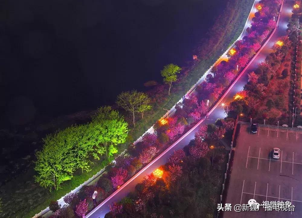 夜樱之魅——河南·新县