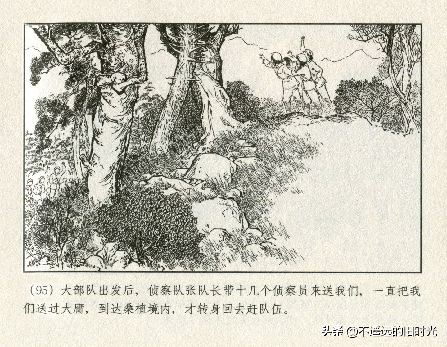 朝阳花-上海人民美术出版社1981初版2016再版陆成法陆小弟绘