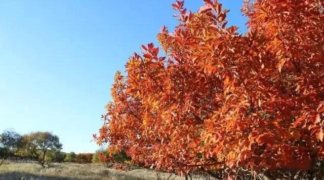 敖包相会的地方,敖包相会的地方通辽