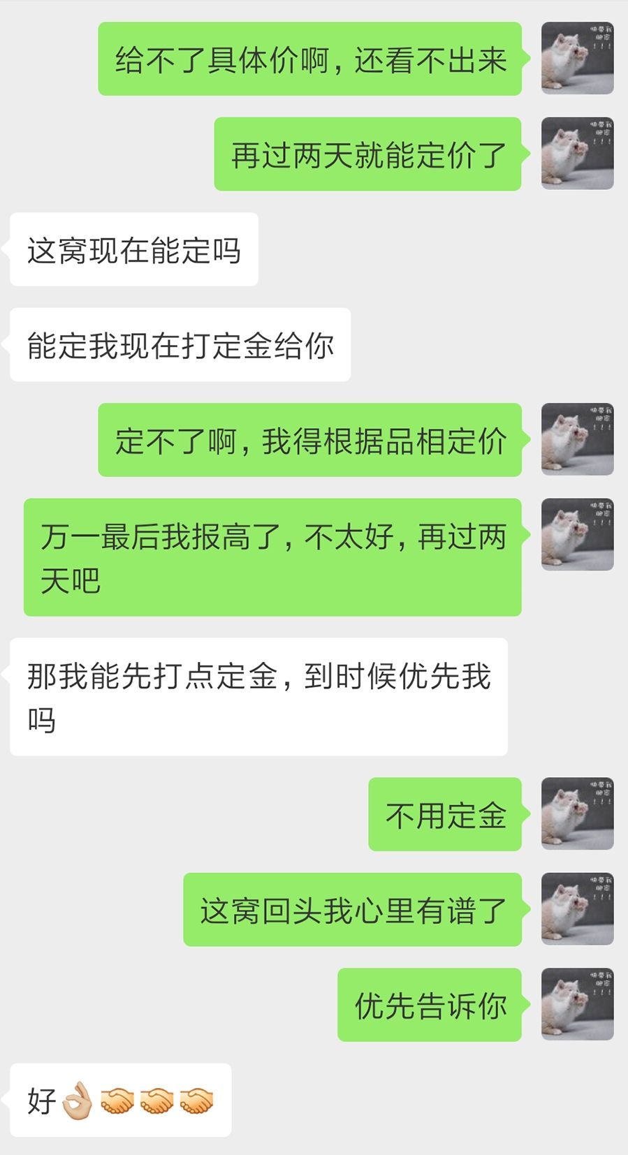 宠物猫行业前景如何,为什么宠物行业利润大