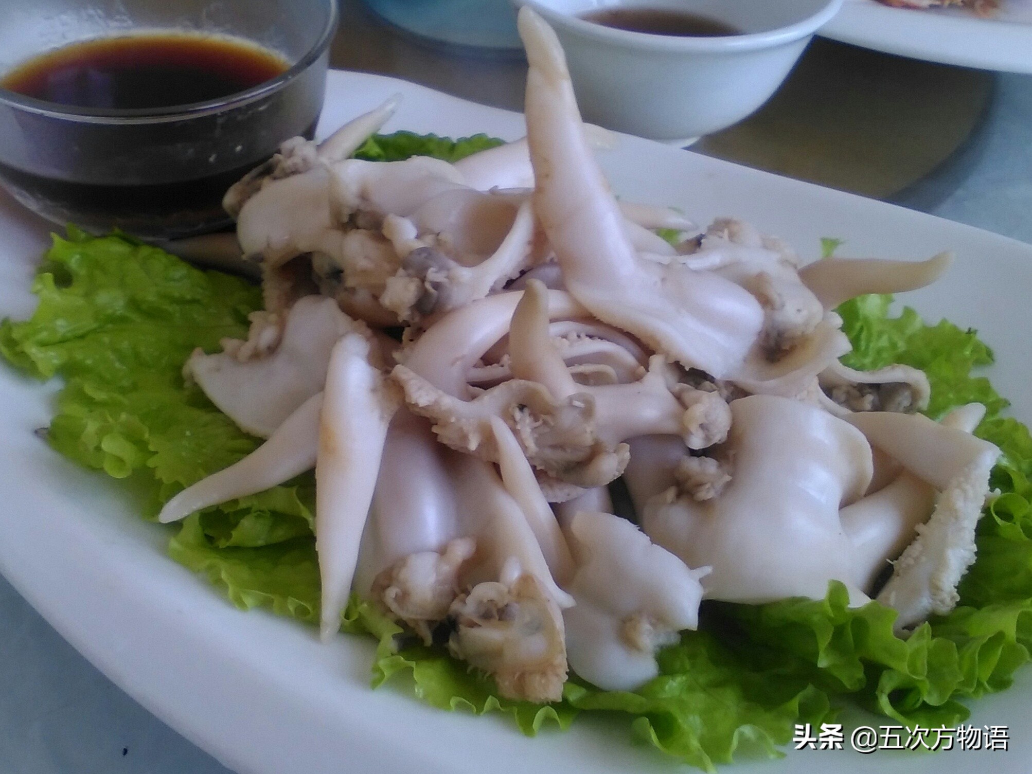 好吃的贝类品种大全,青岛贝类海鲜有哪些品种