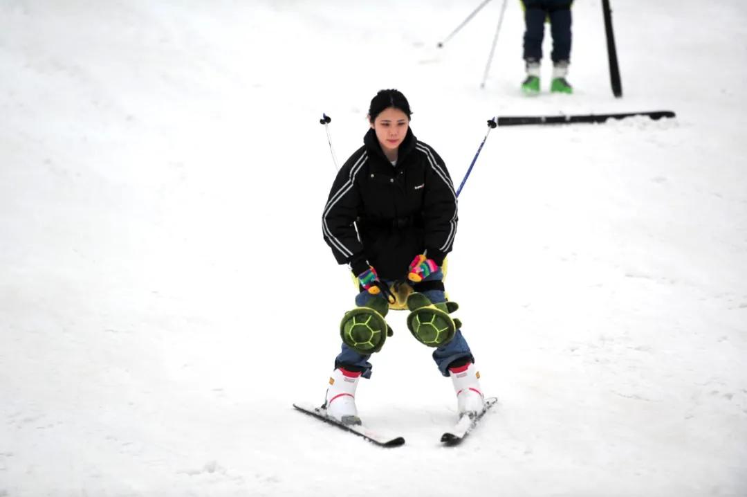 萌翻了原视频,萌翻了