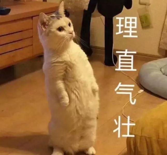 百元家用打印机,百元价位打印机家用推荐