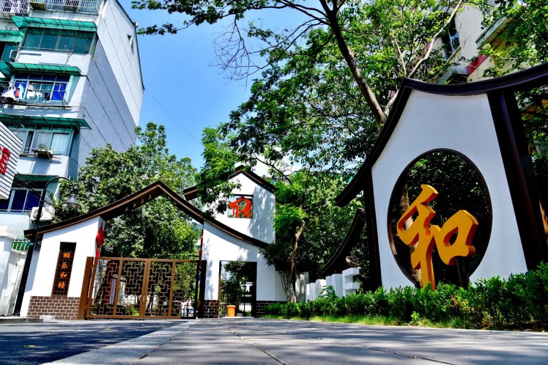 今日头条农村支部书记,浙江党支部书记