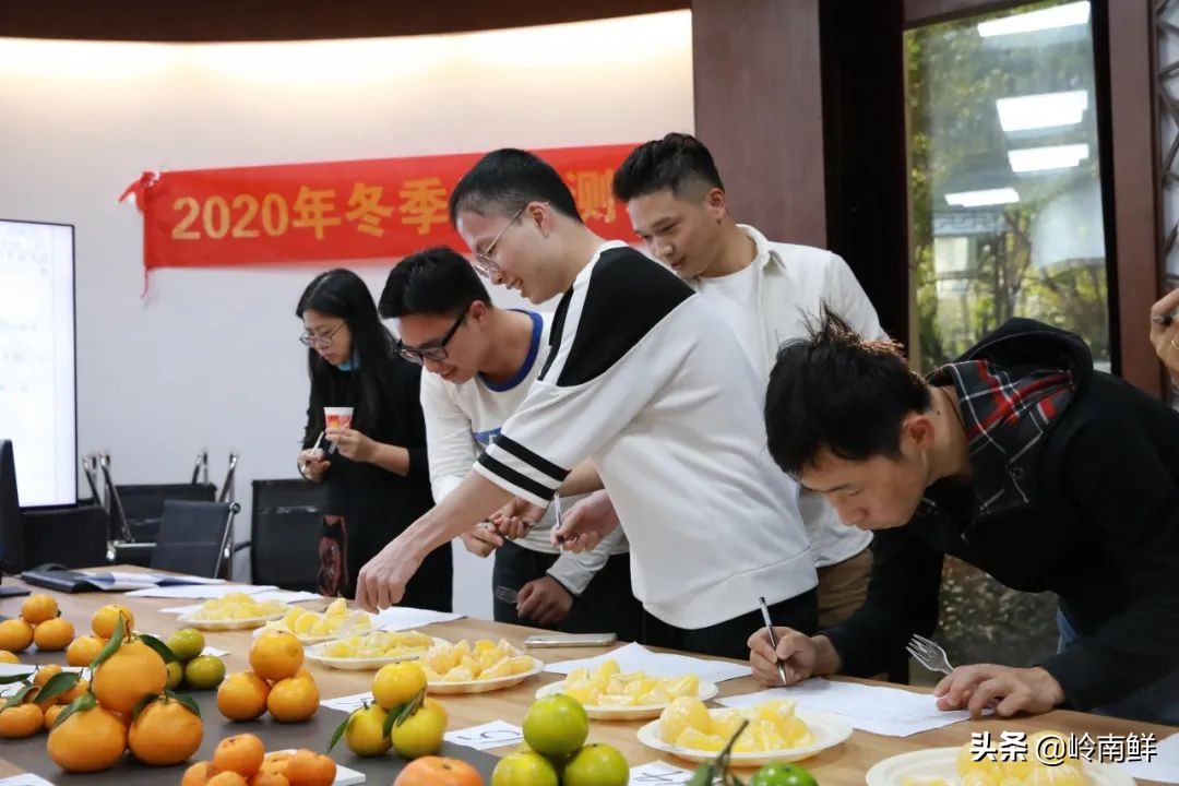 柑橘能吃出菠萝味？带你体验种植匠2020冬季柑橘橙测评