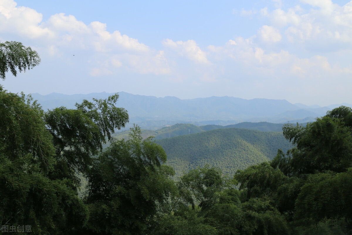 广德市的经济发展，竹子有贡献吗？这都是广德人不说的秘密