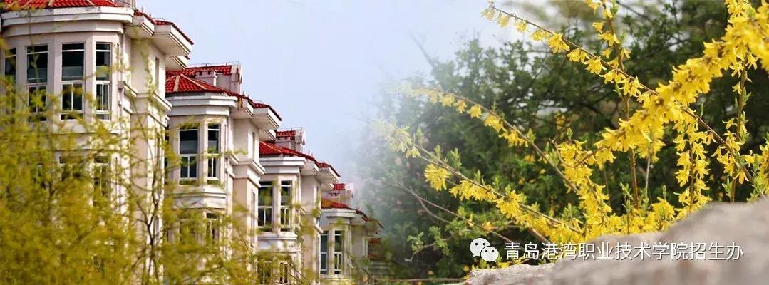 青岛港湾职业技术学院校荐生名单,青岛港湾职业技术学院大国工匠