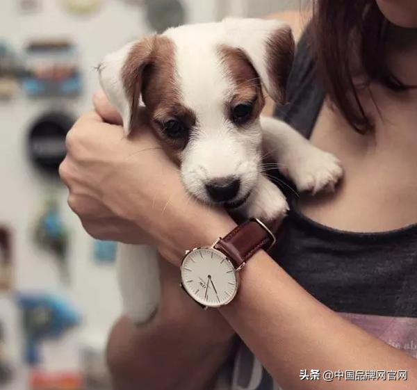 年轻人最值得买的十款手表 (5款最值得拥有的手表)