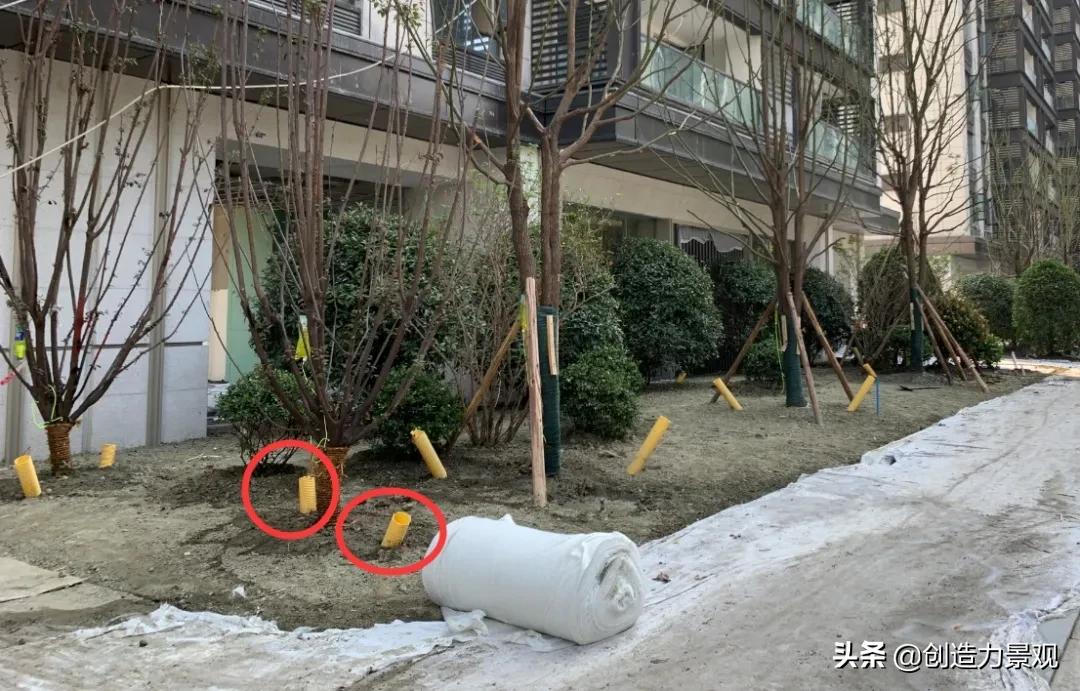 如何对植物进行管理,植物苗期管理视频