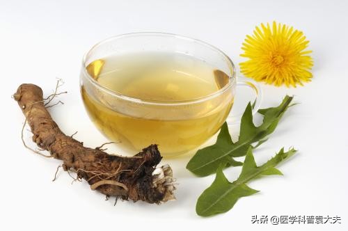 如果吃蒲公英有副作用怎么化解,喝蒲公英水能增加抵抗力吗