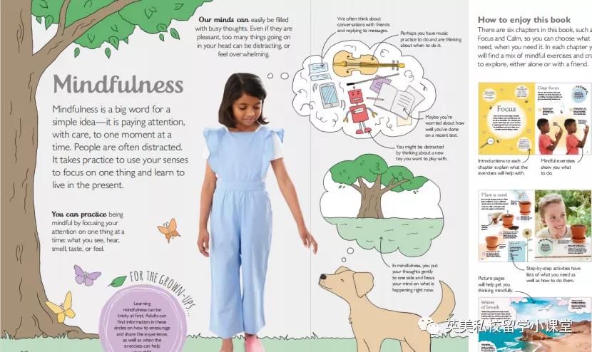 12岁推荐看的知识书,12岁儿童学dk书籍