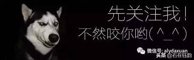 宣德窑瓷器款识及历代仿款,宣德款识周围有没有图案