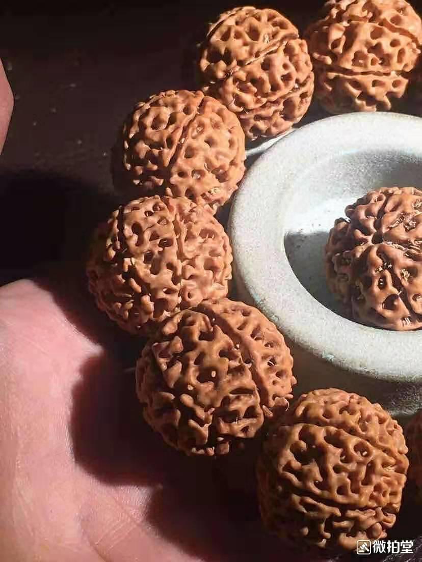 大小金刚菩提子区别图片,对金刚的认识和方法