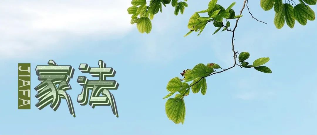 家法小说解说,家法鞭子打少爷