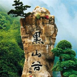 黑山谷采摘刺竹笋,高山野笋采摘