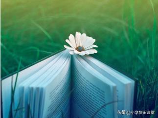 三年级上册语文写日记200字,小学语文部编三年级第二单元作文