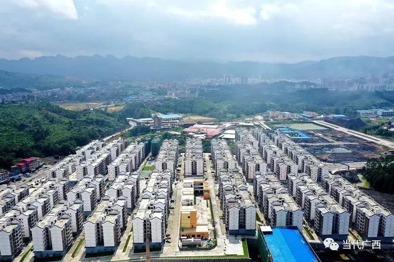 粤桂东西部协作,粤黔东西部协作交流