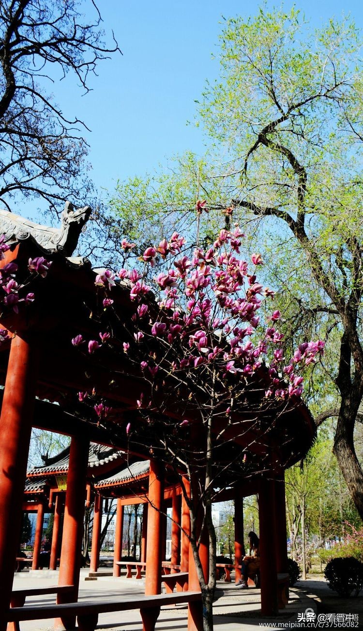 山西农大美丽的校园,山西农大校园风光