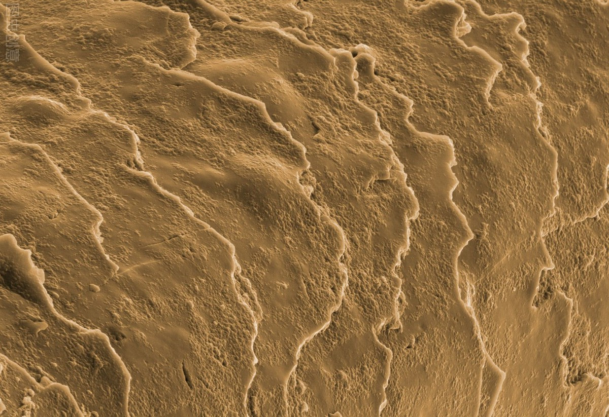 洗发水硅油成分叫什么学名,洗发水中常见的硅油有哪些