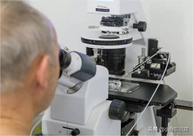 蔡司科技公司怎么样,蔡司光学简介