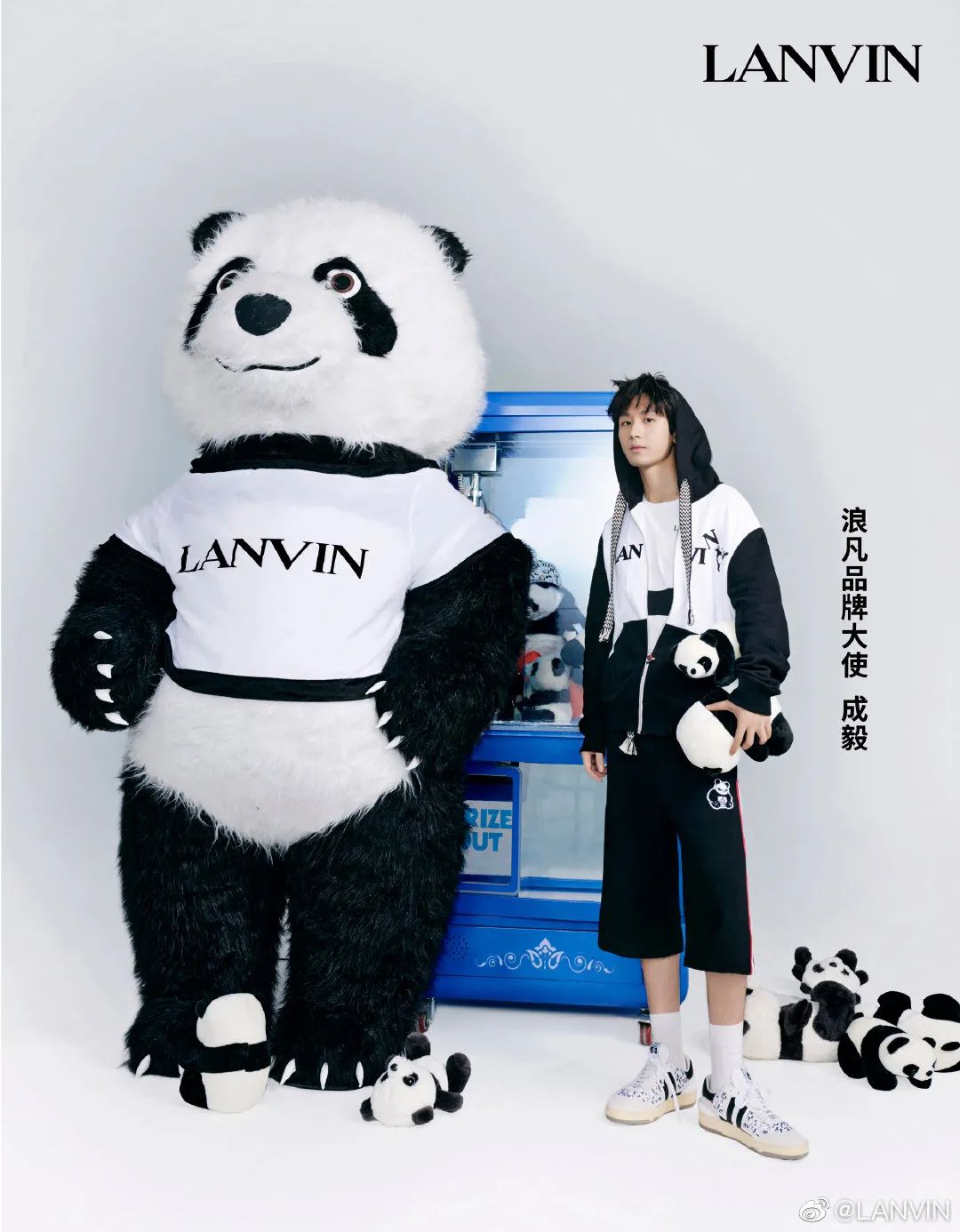 双十一明星代言销量排行,双十一明星代言数据