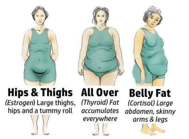 如何降低皮质醇水平和减肥,如何改善压力导致的皮质醇升高