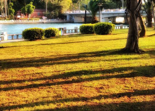 鸽群飞翔，厦门最大的全开放广场公园