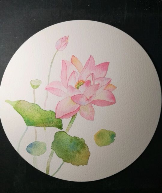 如何画荷花的最简单的方法,怎么画荷花一步一步教你画荷花