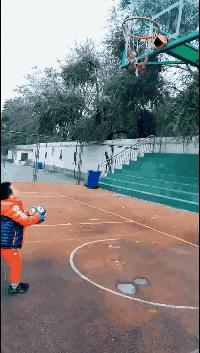 你看我们家的鹦鹉有多可怕,看看你家鹦鹉会享福的样子