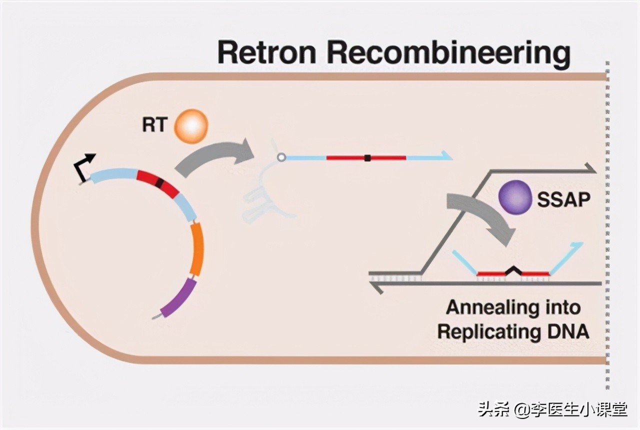 不同的阿奇霉素副作用不一样,阿奇霉素和头孢哪个消炎好一点