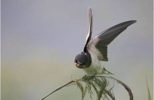 秋分的优美诗词发朋友圈,秋分优美诗词秋分祝福语