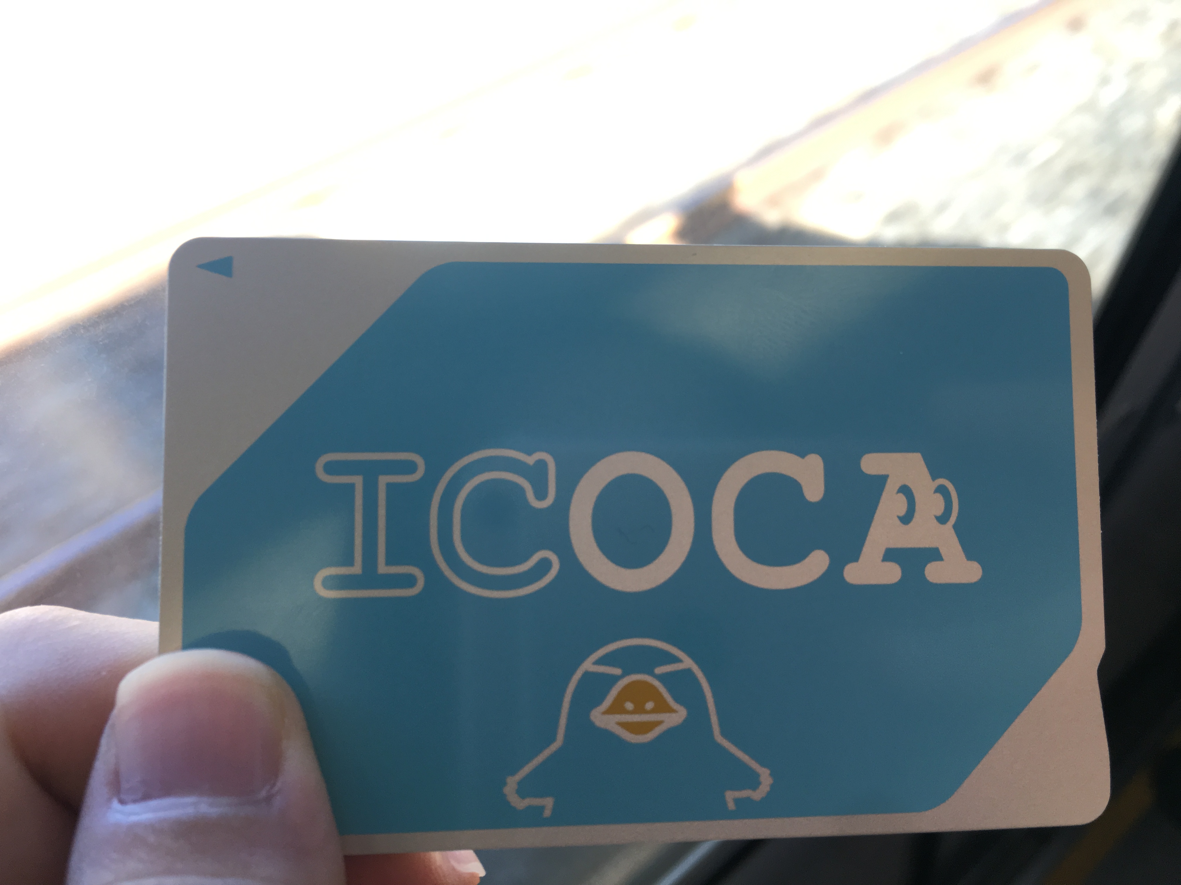 京都之旅探寻古都的魅力与美景,日本旅游东京京都霓虹初见