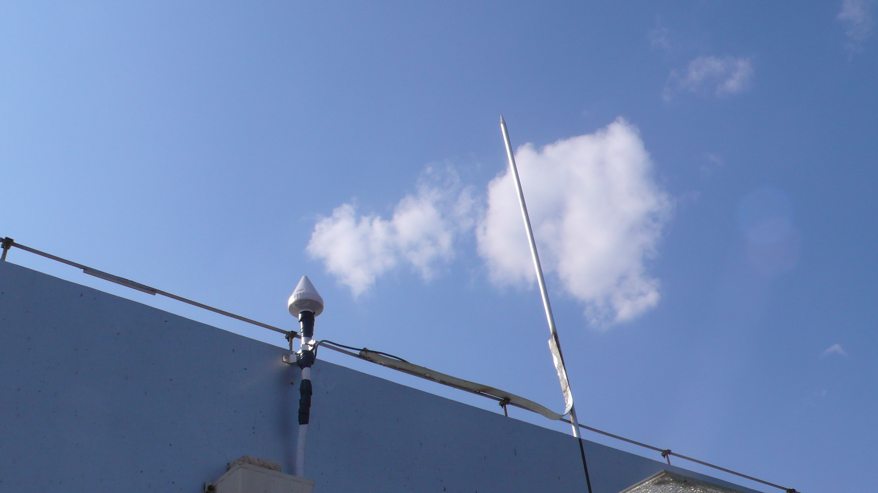 550只羊遭雷击死亡是真的吗,格鲁吉亚遭遇雷击羊离奇死亡