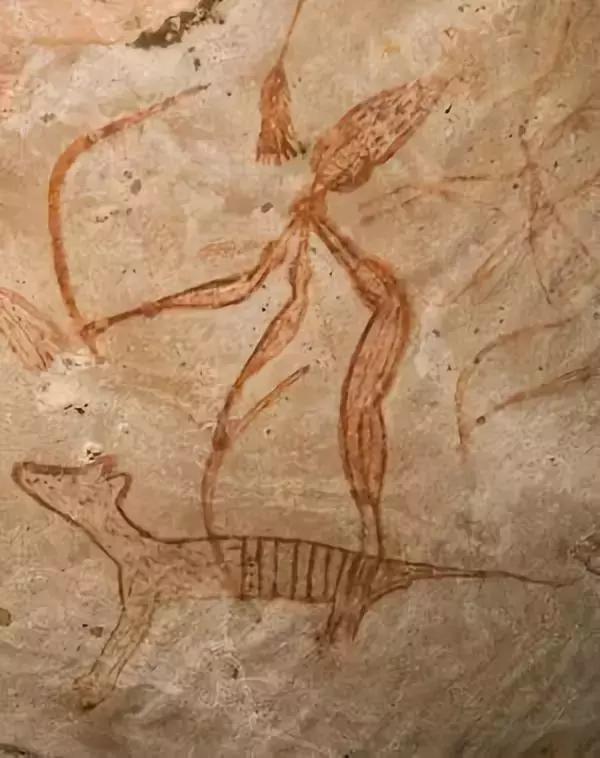 灭绝物种什么罪,灭绝动物的报应