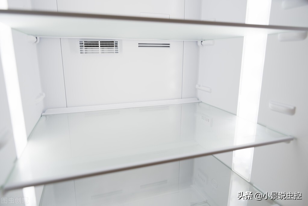 衣服上粘上粘鼠板胶去除妙招,粘鼠板粘在衣服上怎样去除