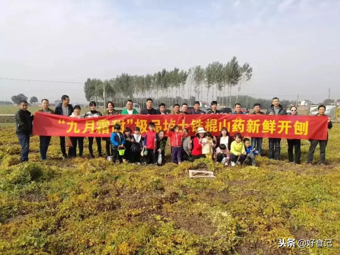 铁棍山药与普通山药哪种好吃,铁棍山药和小白嘴山药味道的区别