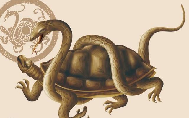 十二生肖蛇的来历简介,12生肖里面的蛇的来历和文化